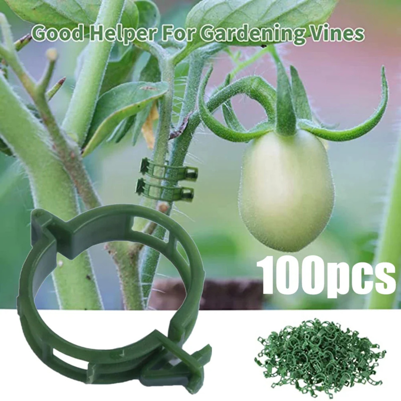 Gardening Tools Hoe - Plante os grampos do apoio, 100