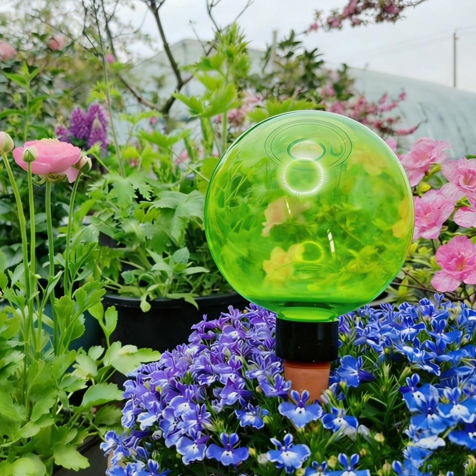 Self-Watering Planter - 3 Globos Grandes de Autoirrigação para