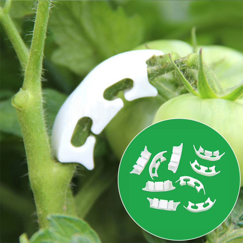 Gardening Tools Hoe - 50/100 pçs botânica-haste videira cintas clipes