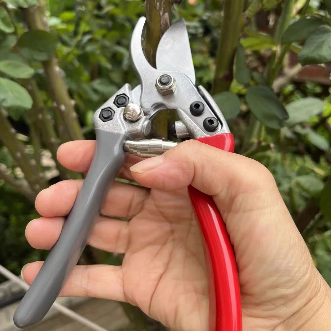 Gardening Tools In Japan - Tesoura de Poda Japonesa VVT Nova