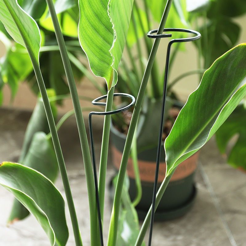 1/10 pçs suporte de jardim ane - Gardening Tools Hoe avaliação e preço