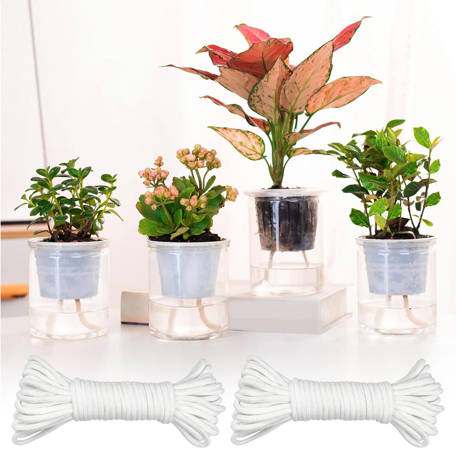Sistema de Irrigação Automátic - Self-Watering Planter avaliação e preço