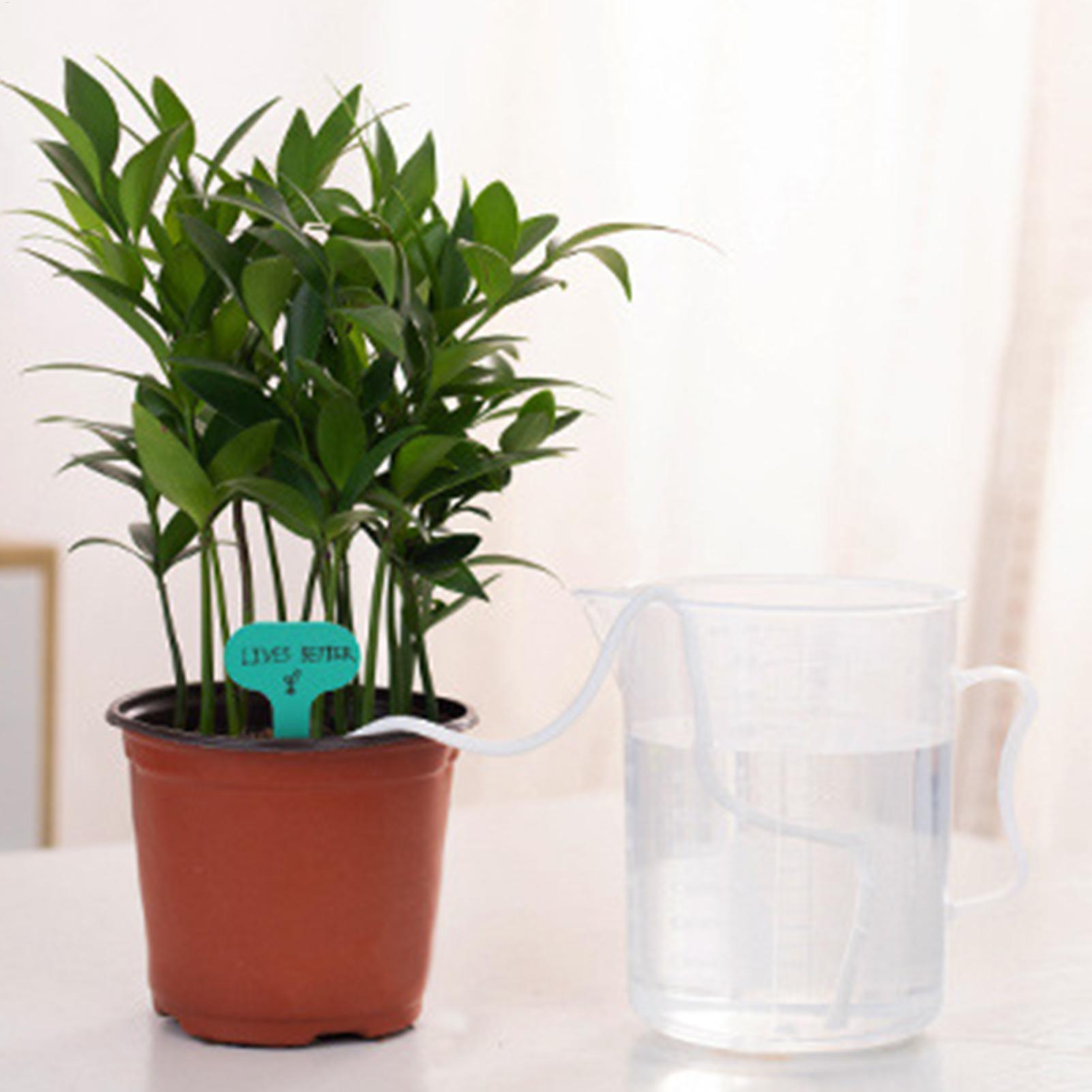 Sistema de Irrigação Automátic - Self-Watering Planter avaliação e preço