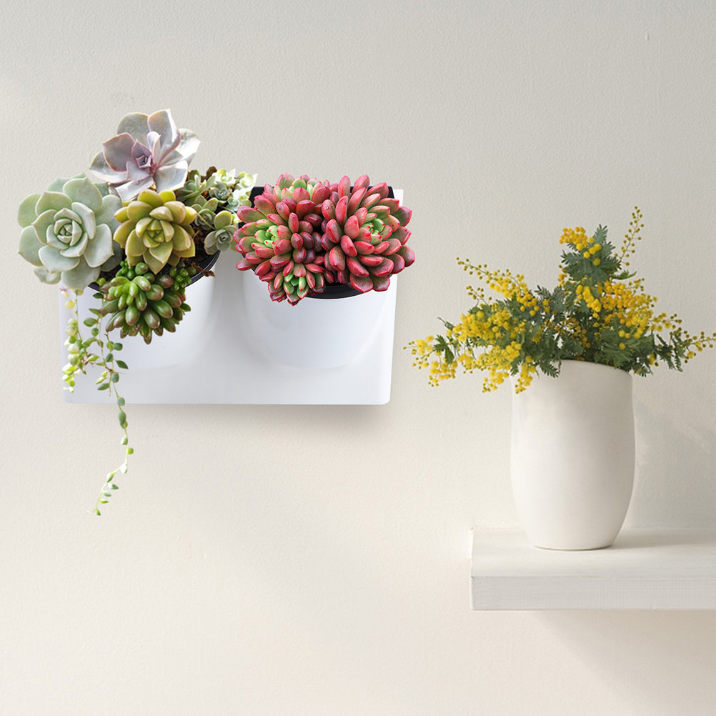Vaso de Flores Autoirrigável d - Self-Watering Planter avaliação e preço