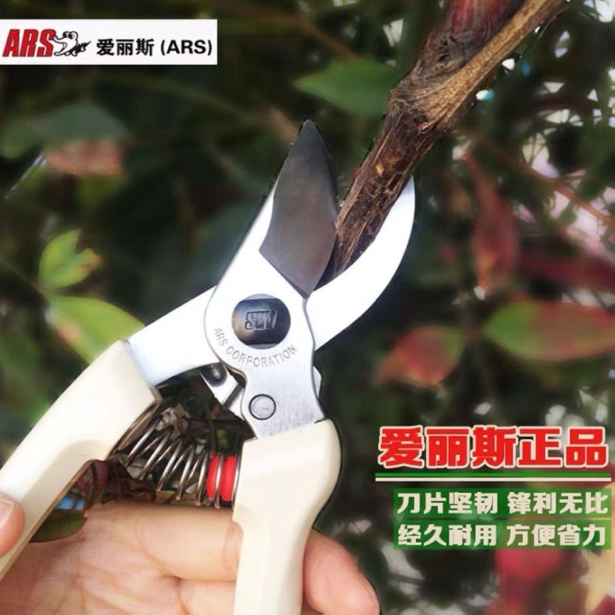 ARS Alice Poda Tesoura, Ferram - Gardening Tools In Japan avaliação e preço