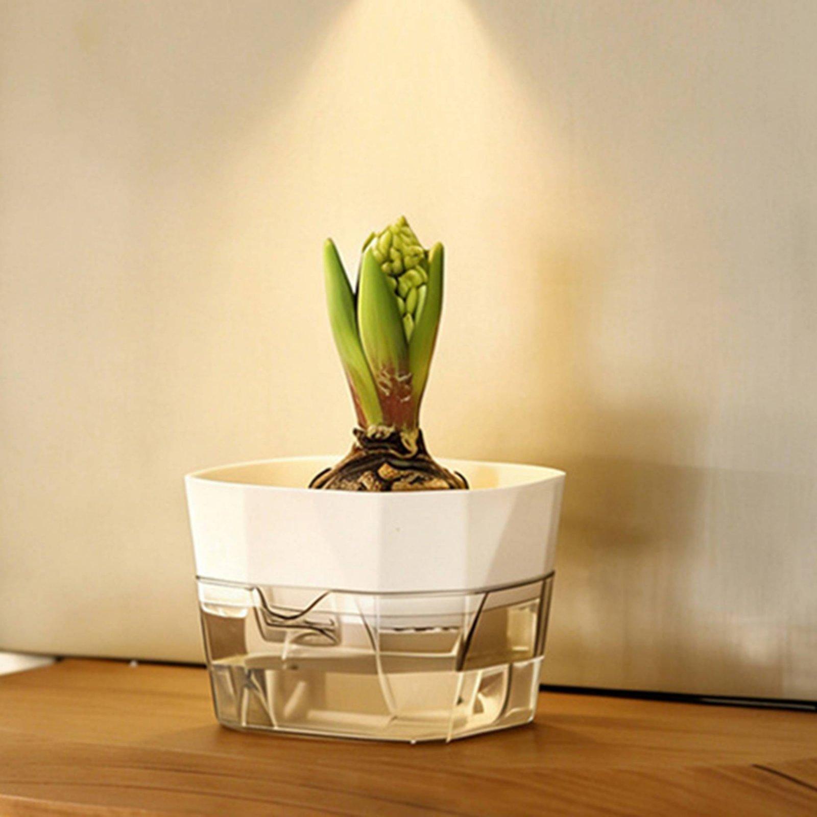 Vaso Hidropônico de Duas Camad - Self-Watering Planter avaliação e preço
