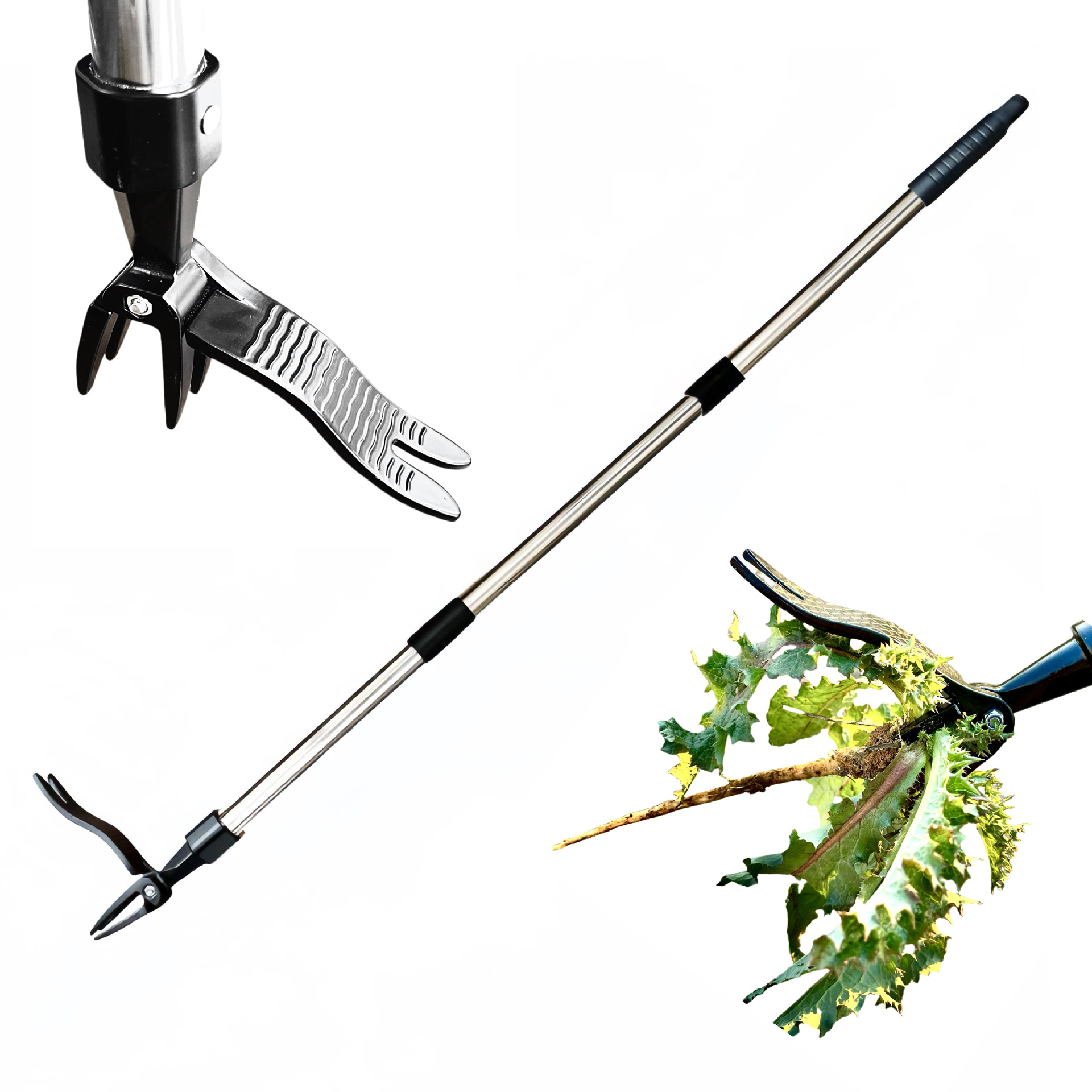 Salvar trabalho extrator de er - Gardening Tools Needed avaliação e preço