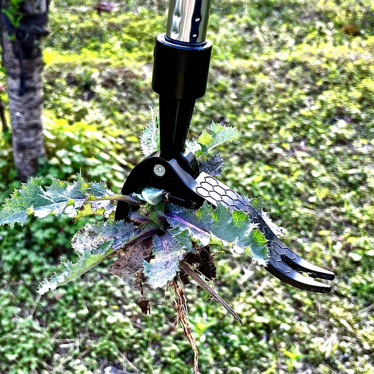 Salvar trabalho extrator de er - Gardening Tools Needed avaliação e preço