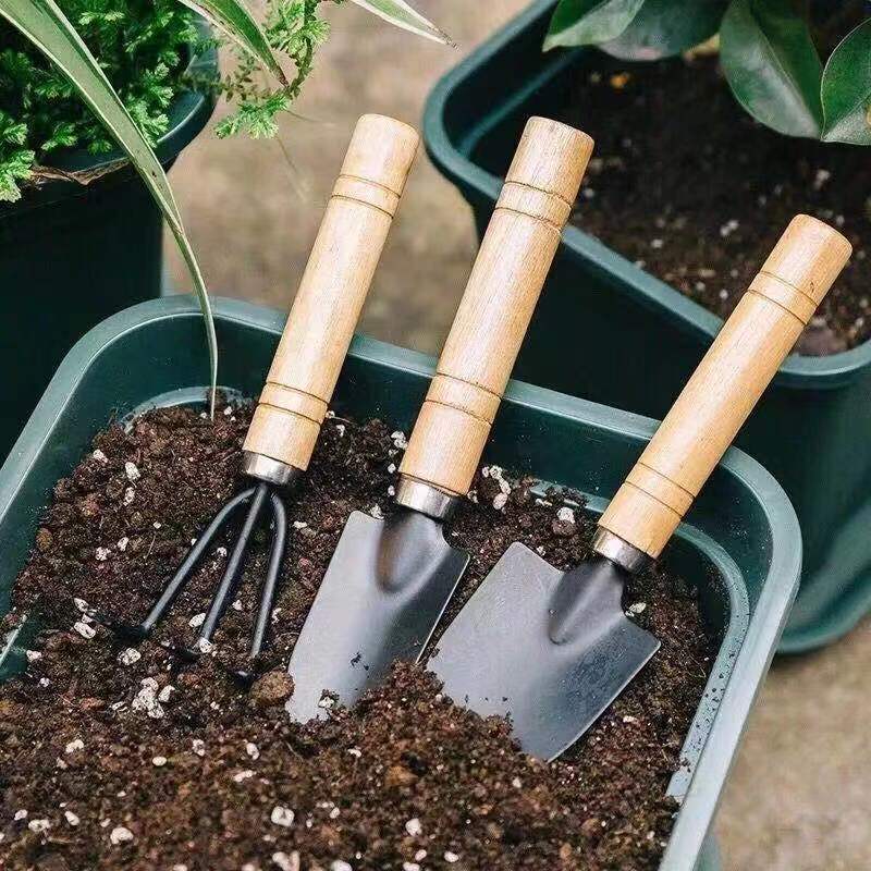 3pc/1 conjunto mini conjunto d - Gardening Tools Hoe avaliação e preço