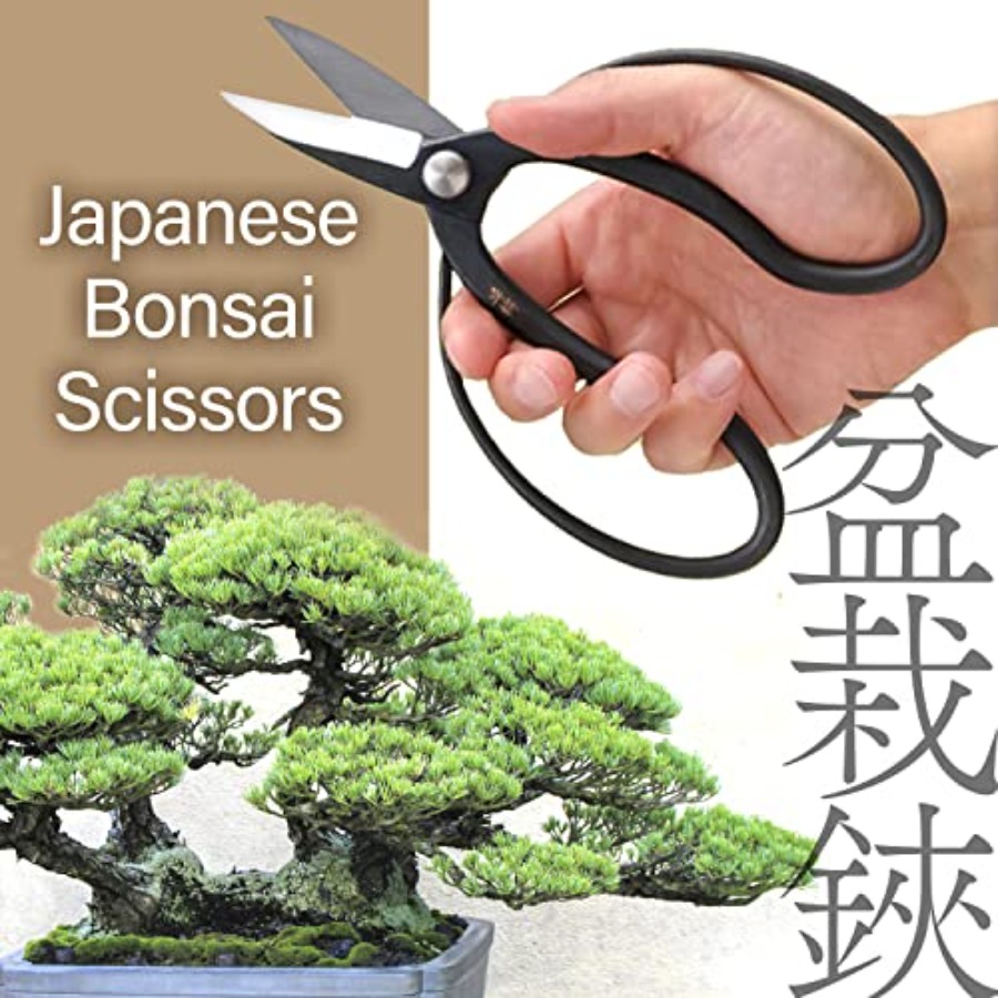 Tesoura Japonesa Suiryu para B - Gardening Tools In Japan avaliação e preço