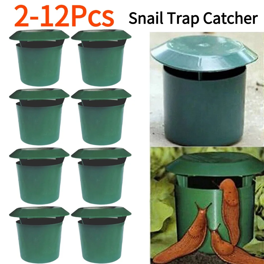 2-12 Peças Armadilha para Cara - Gardening Tools Toolstation avaliação e preço