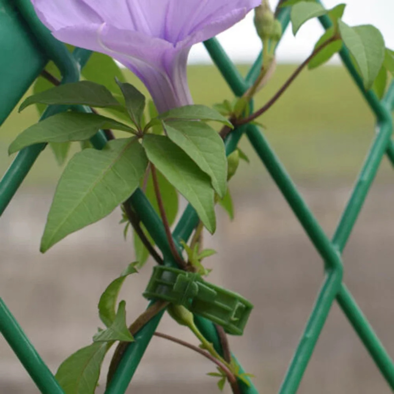 Plante os grampos do apoio, 10 - Gardening Tools Hoe avaliação e preço