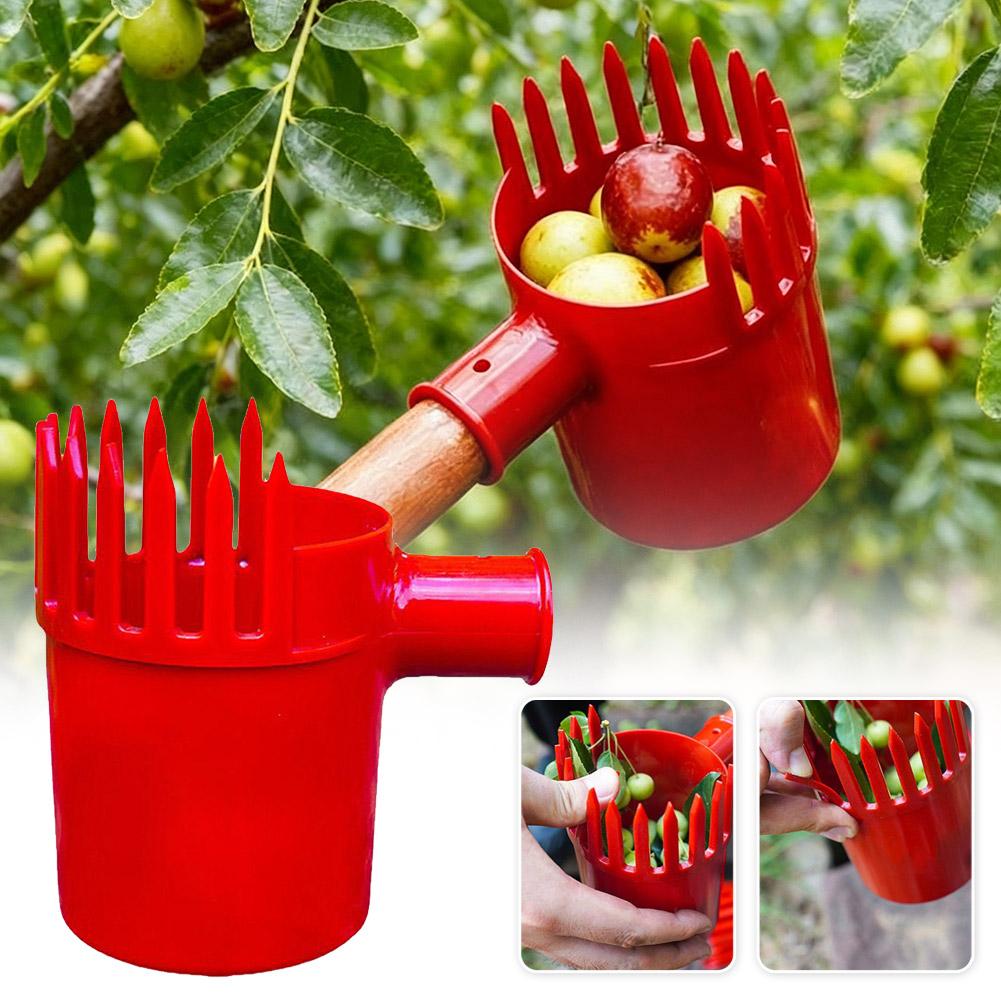 Ferramenta Portátil para Colhe - Gardening Yard Tools avaliação e preço