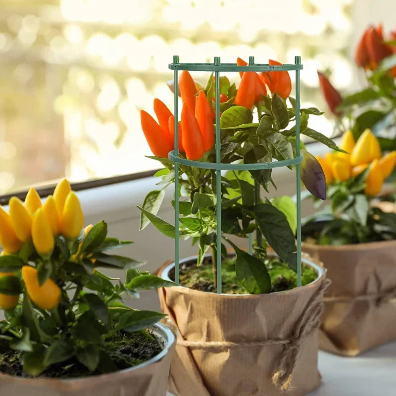 Suporte de plástico para plant - Gardening Tools Hoe avaliação e preço
