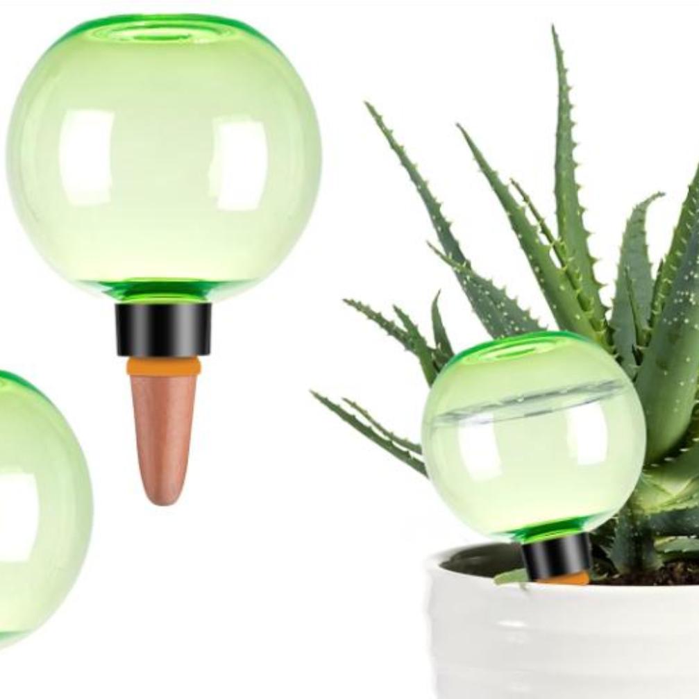 3 Globos Grandes de Autoirriga - Self-Watering Planter avaliação e preço