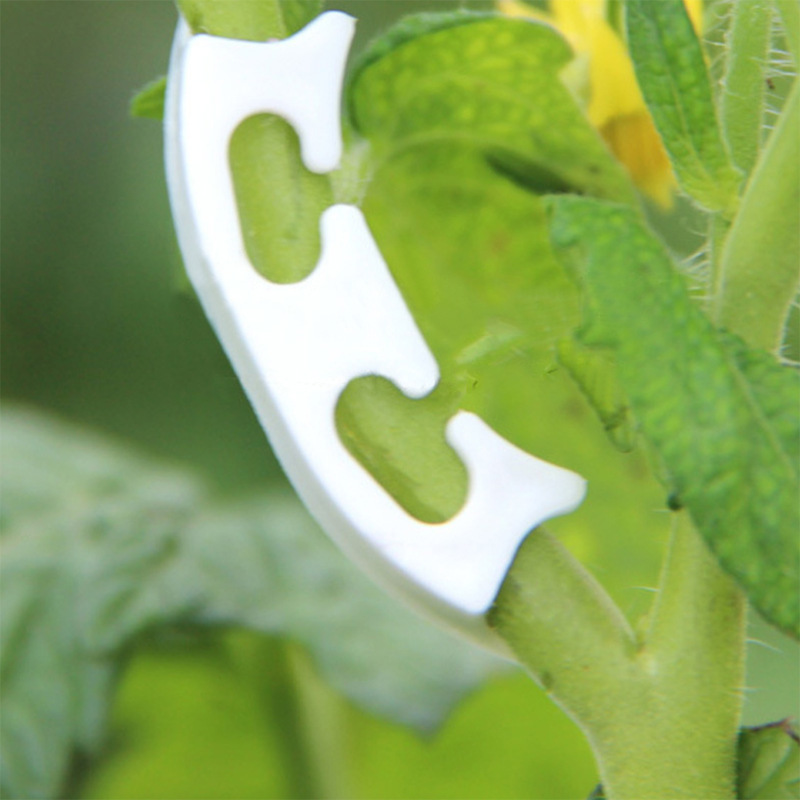 50/100 pçs botânica-haste vide - Gardening Tools Hoe avaliação e preço
