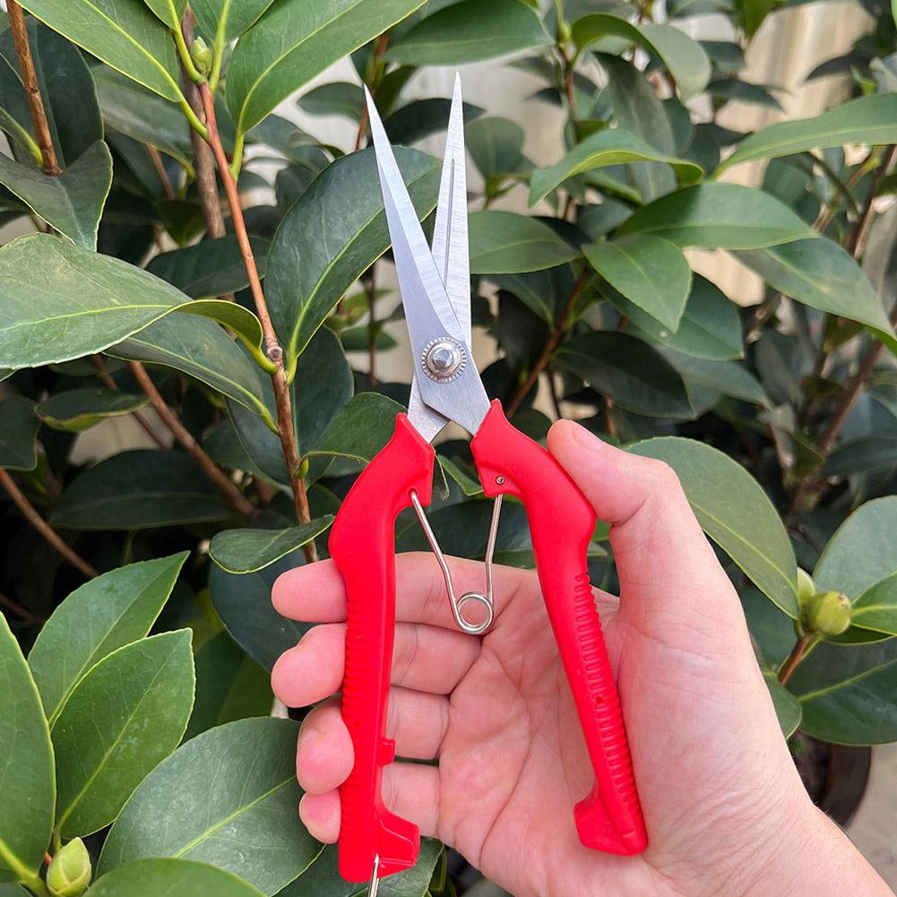 Tesoura de Poda Profissional p - Essential Gardening Tools avaliação e preço