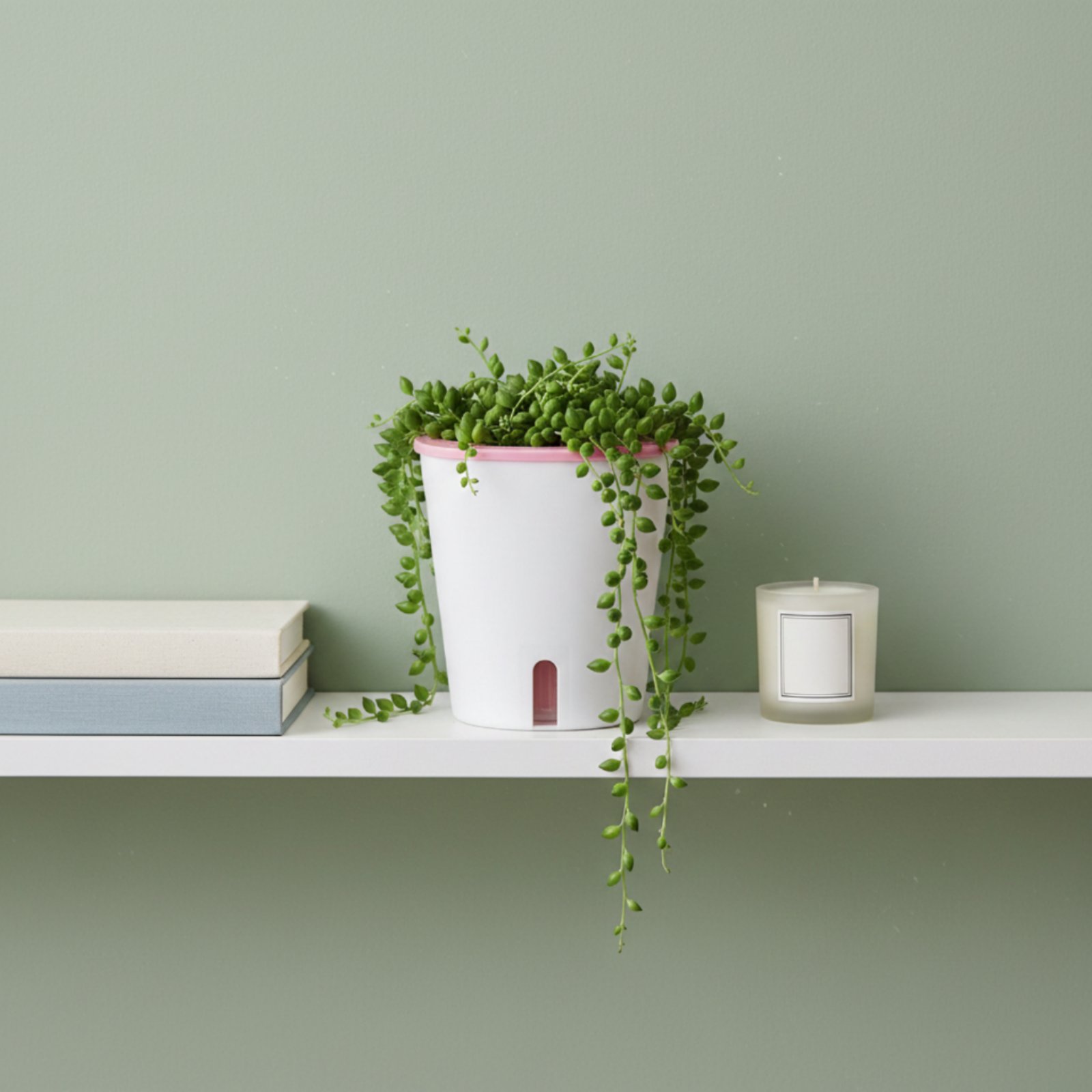 Vaso Autoirrigável Grande com  - Self-Watering Planter avaliação e preço