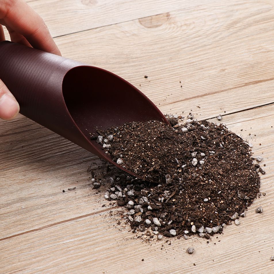 1pc plástico solo pá copo para - Gardening Tools Hoe avaliação e preço